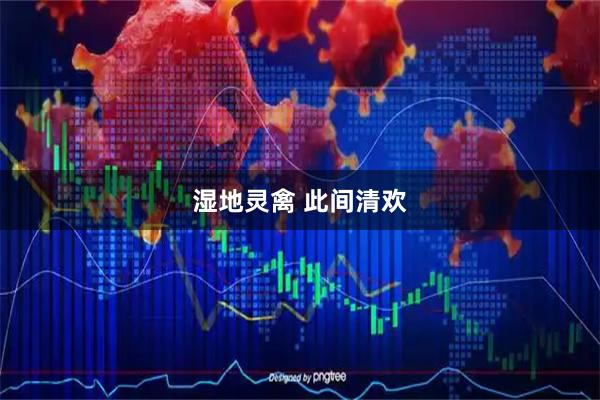 湿地灵禽 此间清欢