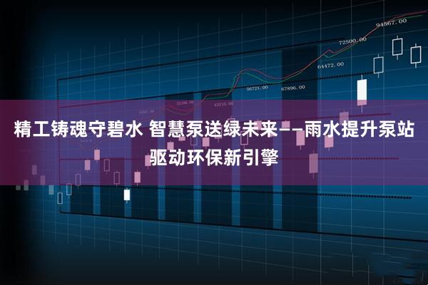 精工铸魂守碧水 智慧泵送绿未来——雨水提升泵站驱动环保新引擎