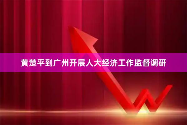 黄楚平到广州开展人大经济工作监督调研